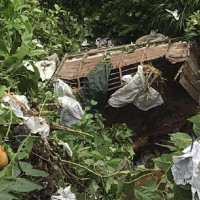 सत्ताइस स्थानीय तहको विदेशमा भगिनी सम्बन्ध