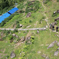 सर्पदंशका बिरामीलाई तत्काल उपचारको व्यवस्था गर्न माग