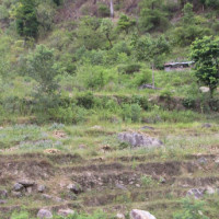 दुध बेच्दा ‘गोल्ड मेडल’