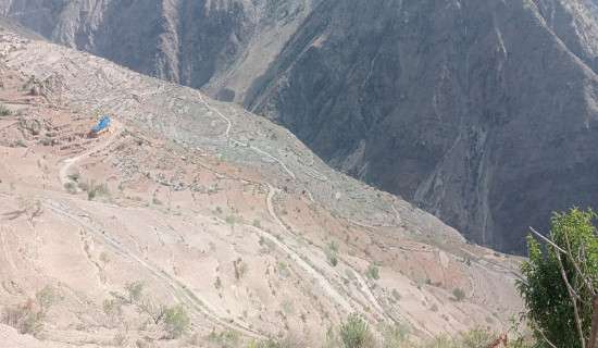 सिँचाइ नहुँदा हुम्लाका उर्बर जमिन बाह्रै महिना बाँझै