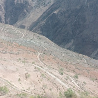 शारीरिक सुगठन एक कलात्मक खेल