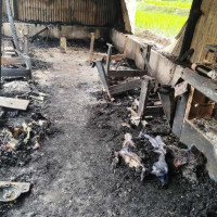 काठमाडौँ प्रहरी परिसरको सेवा अब भद्रकालीबाट