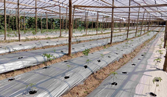 ‘विश्व सम्पदा सूची’ मा पनौतीलाई समावेश गर्न पहल
