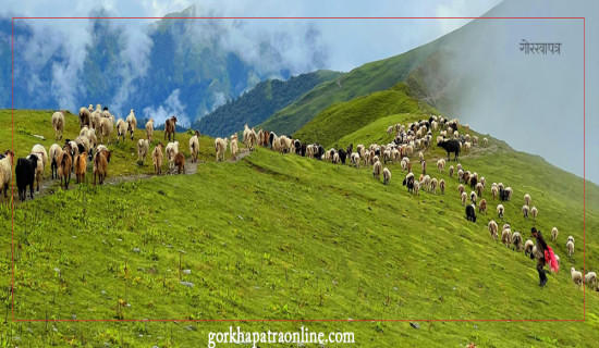 पर्यटकको मनै लोभ्याउने ‘बुकीपाटन’