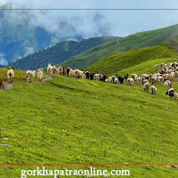 आमाको मुख हेर्ने दिनमा आमाको आँखामा आँसु