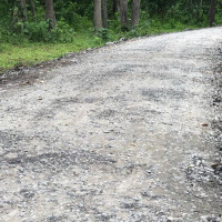 दुना टपरी बिक्रीबाट आत्मनिर्भर