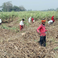 ककपिटमा भिडियो राख्नुको ‘बलियो तर्क’ : आइएटिए प्रमुख