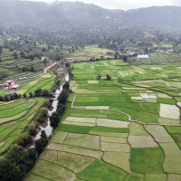 ककपिटमा भिडियो राख्नुको ‘बलियो तर्क’ : आइएटिए प्रमुख
