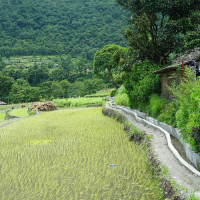 हेटौँडा–रजैया राप्ती नदीमा र्‍याफ्टिङ