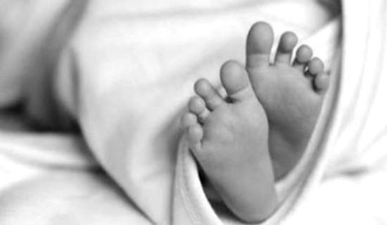 कपिलवस्तुमा सर्पले डस्दा बालिकाको मृत्यु