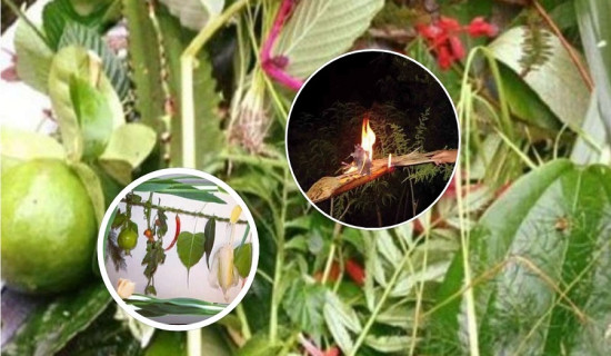 धनगढीमा स्वतन्त्र उम्मेदवार हमालको जित सुनिश्चित