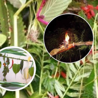 ‘सरसफाइ र स्वच्छता कायम राख्न सबैले सहयोग गर्नुपर्छ’