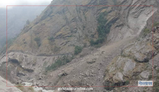 कीर्तिपुरमा शहीदको स्मरणमा प्रभातफेरि