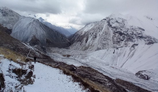 मुगुबाट २६ किलो यार्सागुम्बा निकासी, आठ लाख राजस्व सङ्कलन