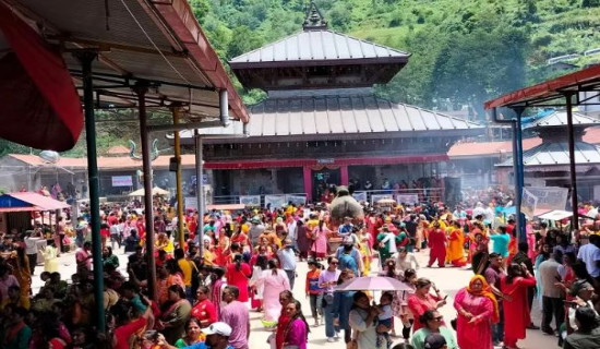 छुट्टियो फेवाको तालघर, गाडिए ६११ पोल