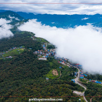 मुगुबाट २६ किलो यार्सागुम्बा निकासी, आठ लाख राजस्व सङ्कलन