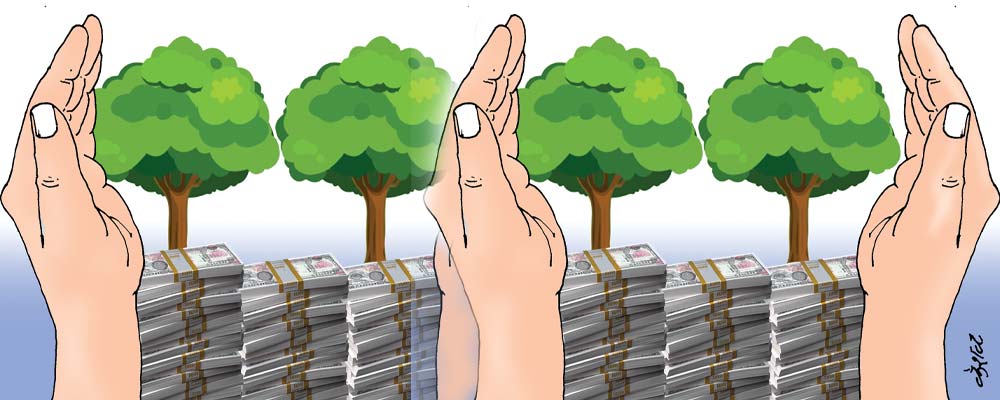 वन कोषको तीन अर्ब प्रयोगविहीन