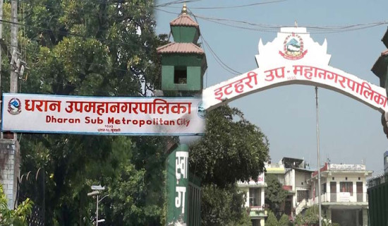 धरान र इटहरी उपमहानगरपालिकामा बजेट शून्यता