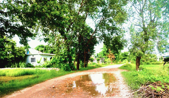कृषकलाई सीपसँगै मौरीघार वितरण