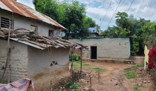 मुक्त कमैयाको पीडा  : न परिचयपत्र छ, न त लालपुर्जा