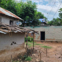 वन कोषको तीन अर्ब प्रयोगविहीन