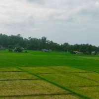 कोरियाली धर्मगुरुद्वारा लुम्बिनीमा ‘शान्ति घण्टी’ निर्माण
