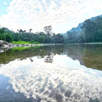 सेजमा उद्योगीको आकर्षण