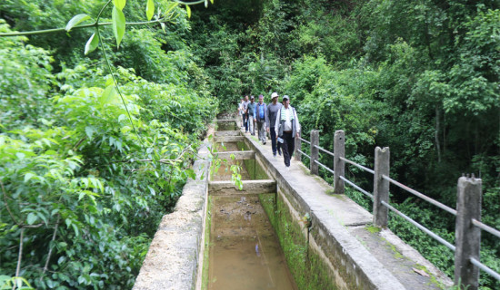 मुद्दा फर्स्योटमा उल्लेख्य सुधार