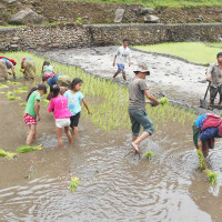 दरौँदी नदीमा बेलिब्रिज निर्माण