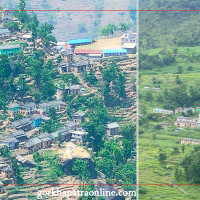 काँक्रोेको बीउबाट मनग्य आम्दानी