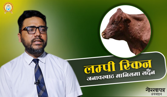 दमौलीमा ज्वरो र झाडापखालाका बिरामी बढे