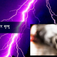 नवलपुरबाट ३० अर्ब ६९ करोड राजस्व संकलन