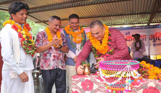 सौर्य एयरलाइन्सको जहाज दुर्घटनाको प्रतिवेदन सार्वजनिक