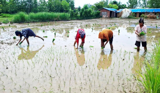 आधारभूत कक्षामा विद्यार्थी सङ्ख्या शून्य