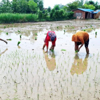 स्वास्थ्यमन्त्री पौडेल र विश्व स्वास्थ्य सङ्गठन क्षेत्रीय निर्देशक वाजेदबिच वार्ता