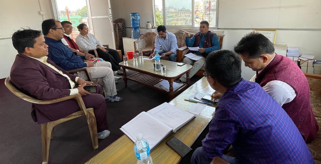 फोनिज संघीय सल्लाहकारमा १३ जनाको मनोनयन