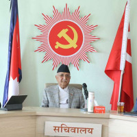 घरभित्र पसेको गोमन सर्प