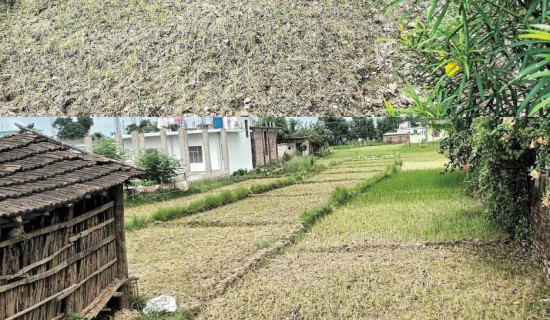 डिजिटल दुनियाँको प्रभाव