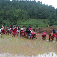 जनताका अपेक्षा अनुसार काम गर्न नसक्दा आदर्श राजनीतिमा ह्रास आयो : राष्ट्रपति पौडेल