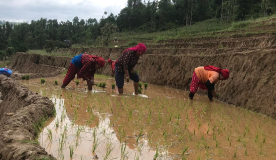 मतदाता नामावलीमा नाम दर्ता गर्न आयोगको आह्वान