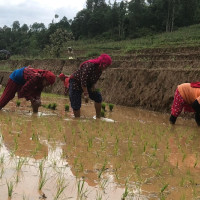 पोखरिया अस्पताललाई स्तरोन्नति गर्न माग