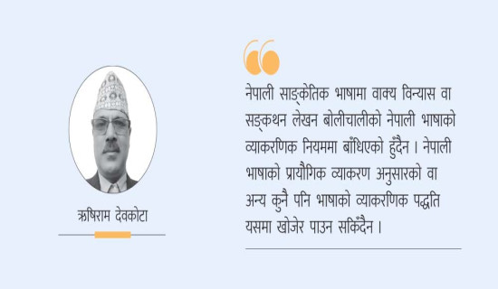 भाषाभित्रको साङ्केतिक भाषा