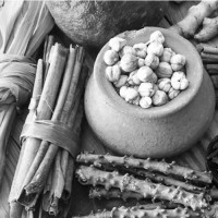 चक्रपथमा छैनन् सार्वजनिक शौचालय