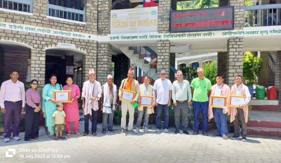 ग्यास बुलेट र ट्रक ठोक्किँदा दुई जना घाइते