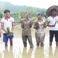 सौर्य एयर दुर्घटना प्रतिवेदन : प्राधिकरण र कम्पनीको कमजोरी