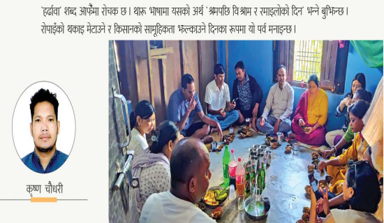 रोपाइँपछि गाउँघरमा ‘हर्ढावा’