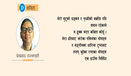 कविताका पङ्क्तिहरू (कविता)