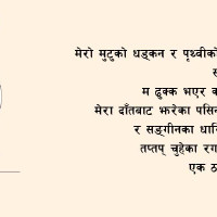 पत्रकार शर्माको सातौँ कृति सार्वजनिक