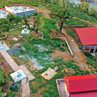 फोक्सोमा क्यान्सर लागेकै वर्ष ९० प्रतिशतको मृत्यु