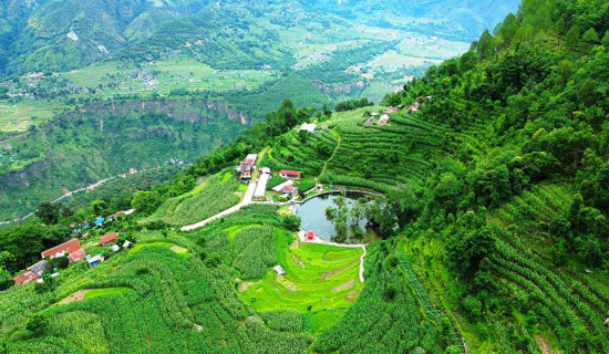 गाजामा खाद्य सङ्कट गहिरिँदै, संयुक्त राष्ट्रसङ्घको गम्भीर चिन्ता
